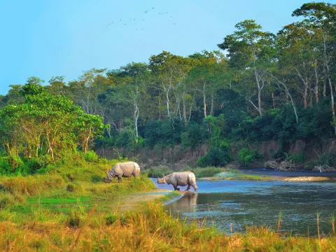 Bardia Safari Tours