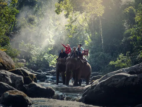 Chitwan Safari Tours