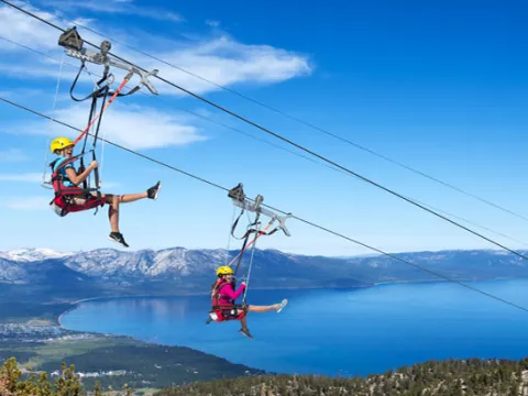 Zip Flyer