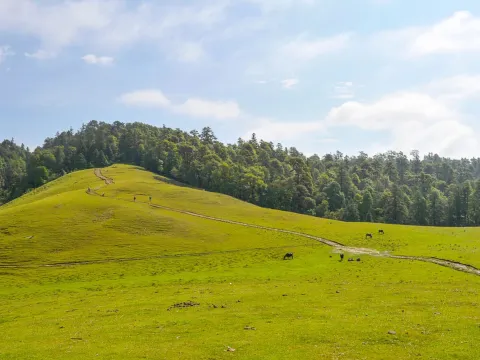 Khaptad Trek