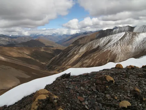 Druk Path Trekking