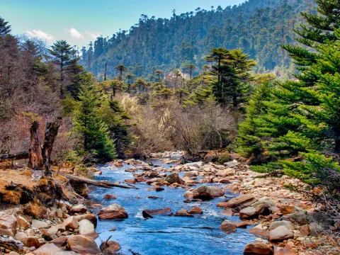 Dagala Trekking