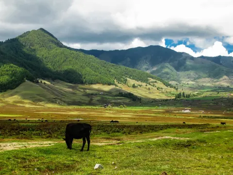Bhutan Short Tour