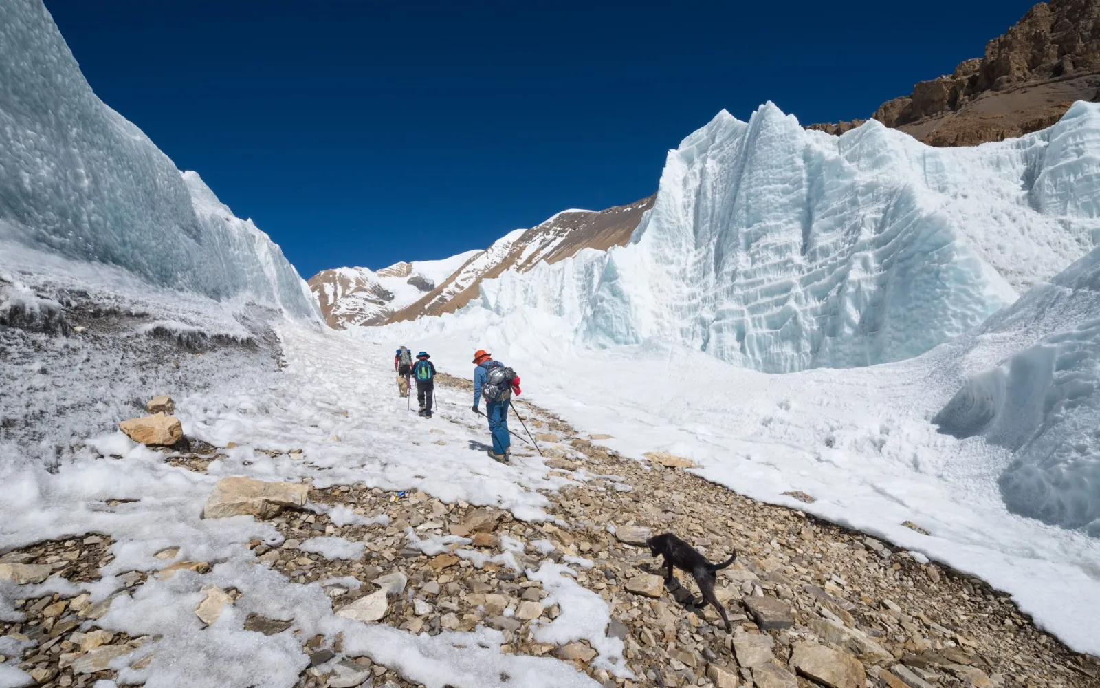 The Ultimate Guide to Choosing the Best Time to Trek in Nepal