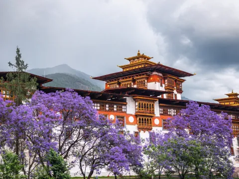 Nepal & Bhutan Cultural Tours: A Journey Through the Himalayan Kingdoms