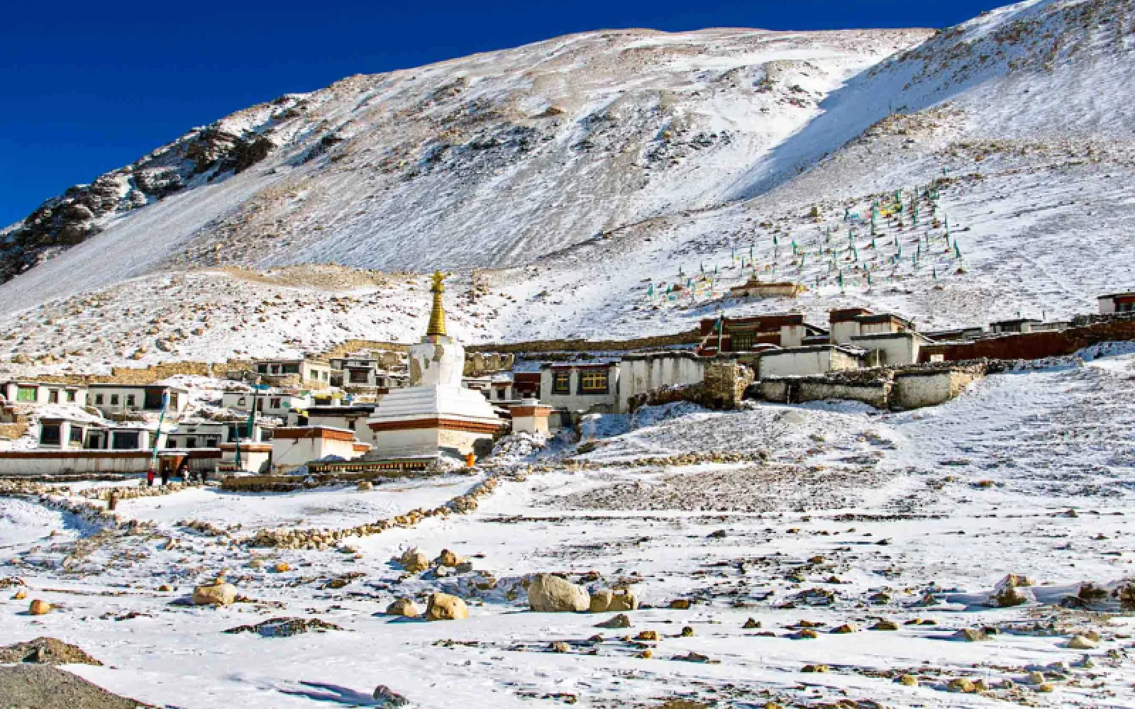 The Historical Evolution of Tibetan Buddhism and the Formation of Its Sacred Canon
