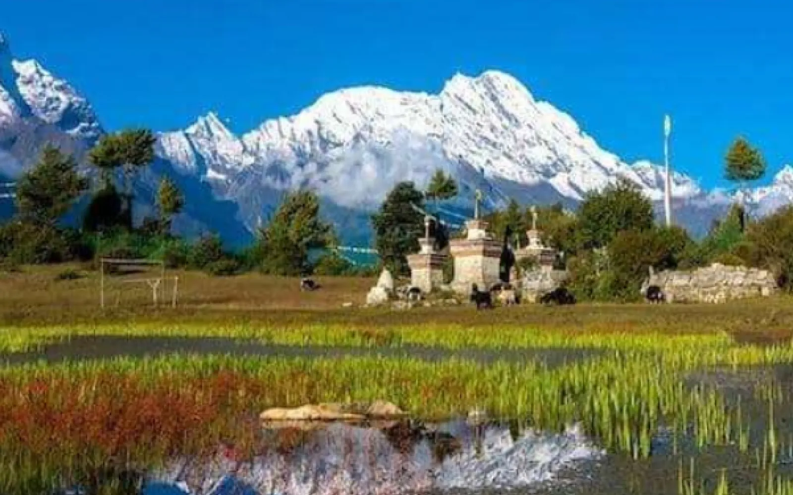 Kyirong / Kerung: The Hidden Himalayan Gateway Between Nepal and Tibet